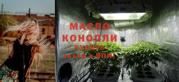 прущие грибы Михайлов