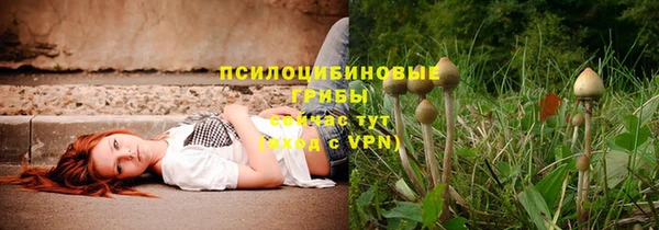 apvp Баксан