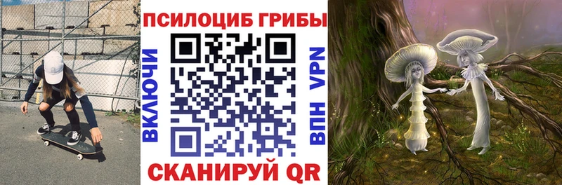 Псилоцибиновые грибы Psilocybine cubensis  площадка Telegram  Углегорск 